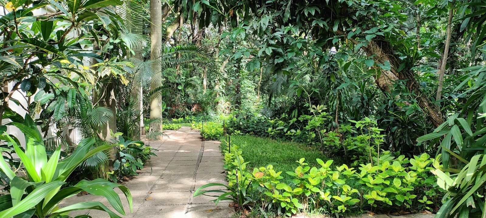 Lombok vs Bali for a Private Villa Holiday